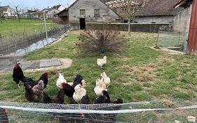 Maison Au Sein D'Une Ferme